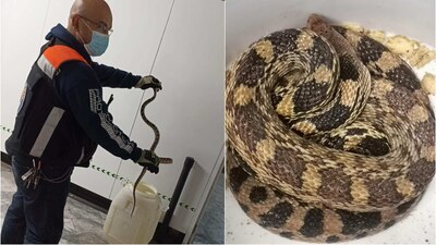 Desde el 11 julio comenzó el cierre parcial de la Línea 1 para su remodelación