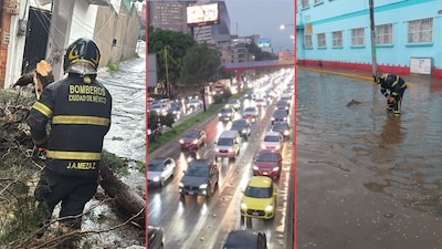 Las zonas más afectadas por la lluvia en la CDMX; granizo, árboles caídos, encharcamientos