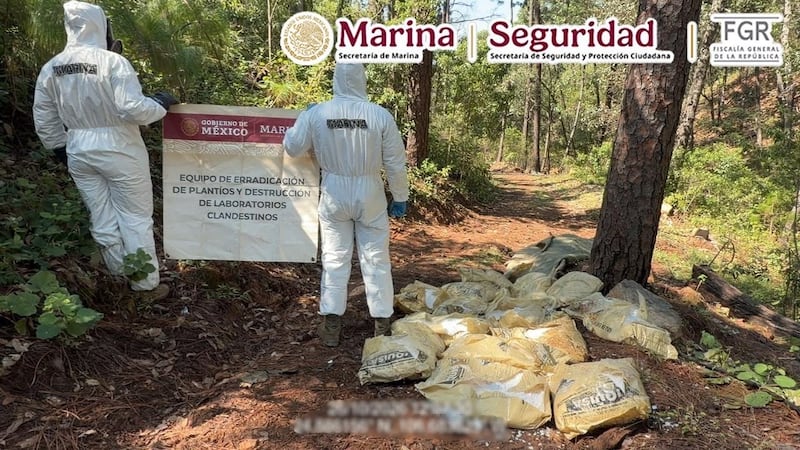 Aseguran 2 narcolaboratorios, con 1.5 toneladas de metanfetaminas en Durango