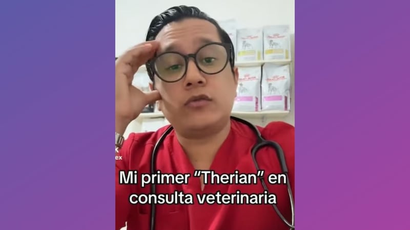 VIDEO: ‘Therian’ va con un veterinario.... ¡Le informan que “lo tienen que dormir”!