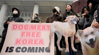 Castigará estos actos con penas de entre dos y tres años de cárcel