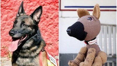 Las figuras tienen un costo de 390 pesos y pueden adquirirse en la tienda Institucional Hazme Valer