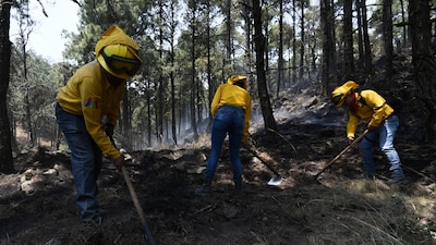 Actualmente hay 3 mil 845 personas atendiendo los incendios en el país