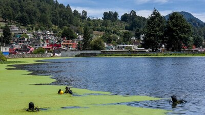 No se ha capturado a los responsables del ataque ocurrido la semana pasada contra jóvenes turistas