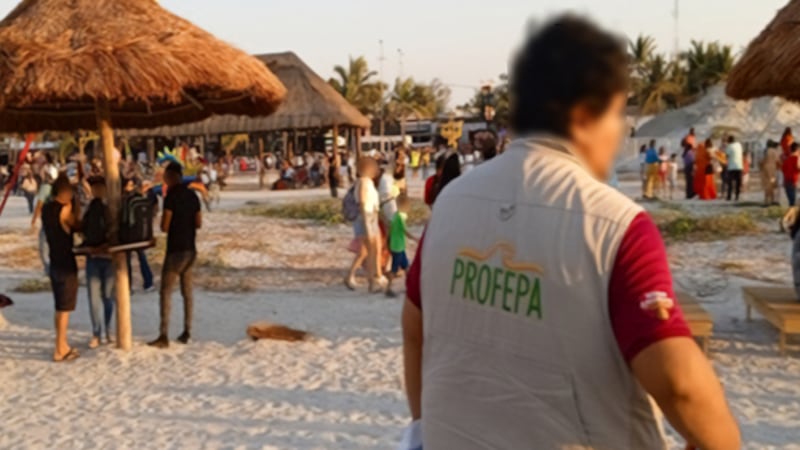Profepa clausura 31 desarrollos inmobiliarios cercanos a playas