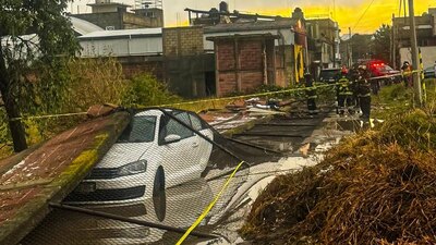 Hubo daños en árboles y autos golpeados