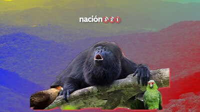 Ciudadanos piden que entre todos salvemos a los animales tropicales