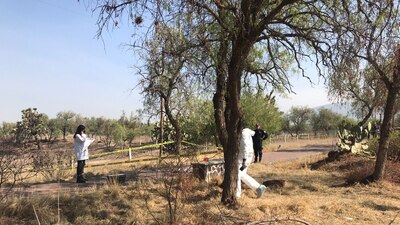 En el accidente fallecieron dos personas: los padres de Regina