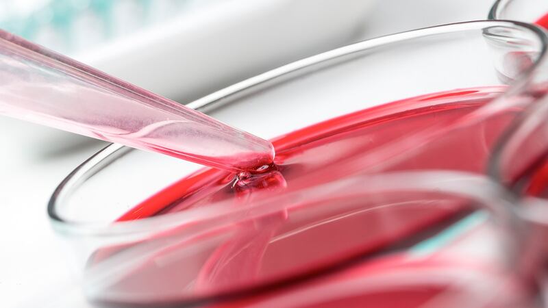 Mujer tiene grupo sanguíneo único en el mundo: sólo es compatible consigo misma