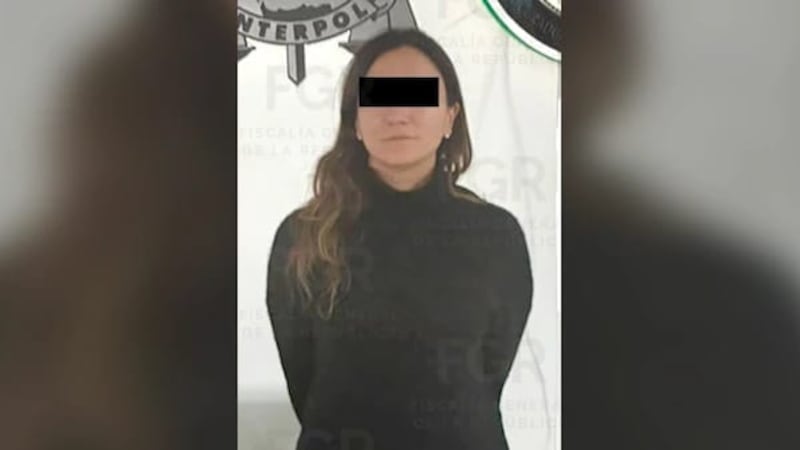 Gilda ‘N’, hermana de Emilio Lozoya, enfrentará en libertad condicional los señalamientos por lavado