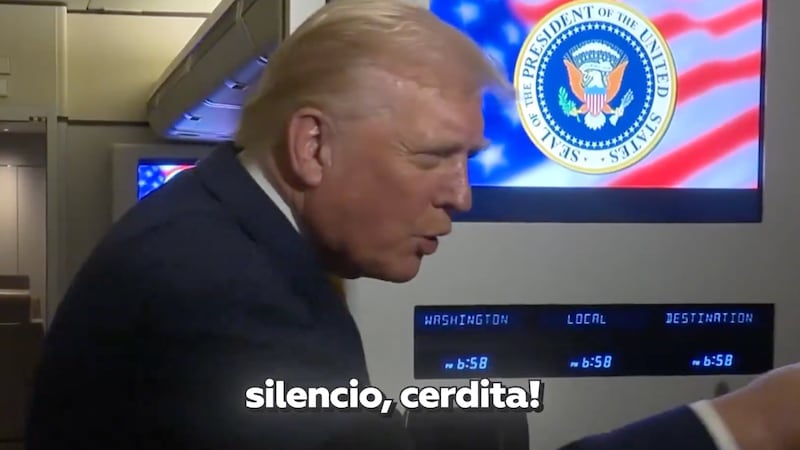 “¡Silencio, cerdita!”, dice Trump a reportera que lo cuestionó por el caso Epstein