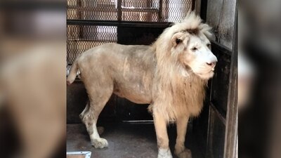 Tenía un cuadro grave de desnutrición