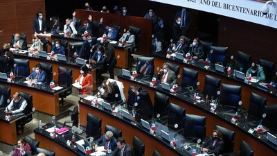 La ley tuvo 101 votos a favor y en contra en lo general,