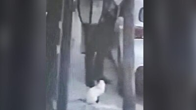 Antonio "N", de 54 años, fue aprehendido por autoridades municipales