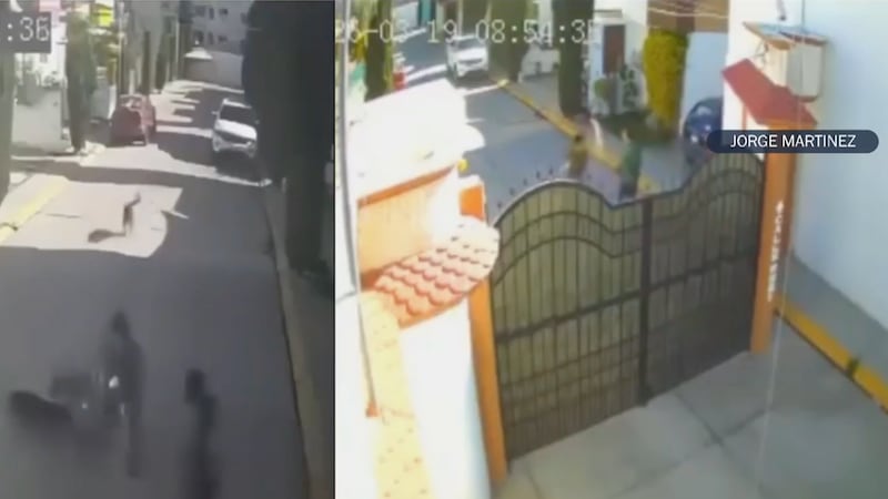 VIDEO: Hombre golpea brutalmente a menor con autismo por el ladrido de sus perritos