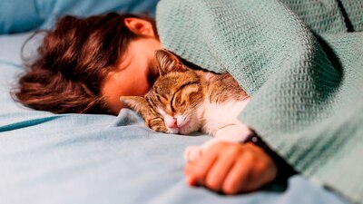 También se impartirán técnicas de meditación y otras herramientas prácticas