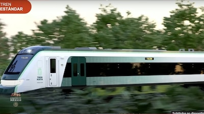 El diseño general de los trenes emulará a un jaguar en movimiento; buscan destacar características de la región.