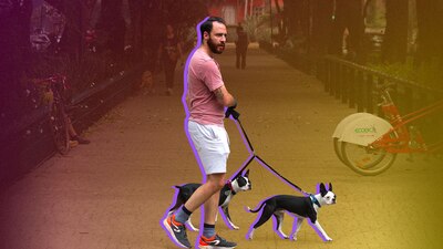 La Condesa, la Roma y la San Rafael son nlas mejores colonias para vivir con tu mascota