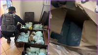 Aseguran 120 kilos de fentanilo en inmueble ligado a ‘Los Rusos’ en Mexicali, revela Harfuch