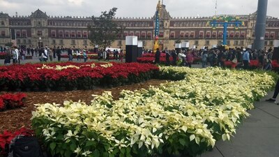 Este año no habrá pista de hielo en la Plaza de la Constitución