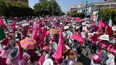 Los contingentes de la llamada Marea Rosa pintaron las calles de México
