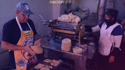 Mediante el “Plan Nacional del Maíz y la Tortilla”, se busca beneficiar a productores y consumidores del maíz blanco