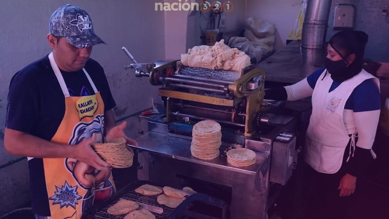¡Qué ofertón! Sheinbaum buscará reducción de 10% al precio de la tortilla