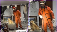 Topos Azteca ralizan su primer rescate en Colombia: un perrito entre los escombros con vida
