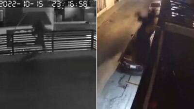 El presunto asaltante prefirió arrojarse antes de que los perros lo atacaran