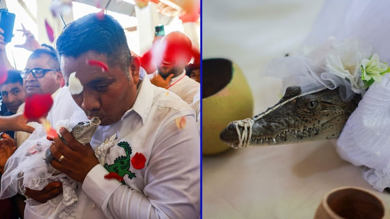 GALERÍA: Así fue la ‘boda’ de un alcalde de Oaxaca con una caimana