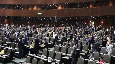 El dictamen obtuvo 274 votos a favor y 207 en contra por lo que no alcanzó la mayoría calificada