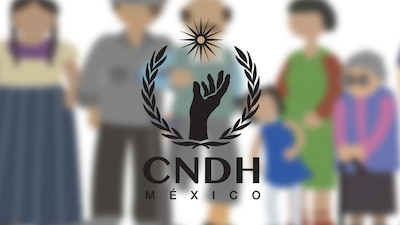 En el proceso participaron un total de 47 aspirantes