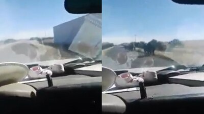 En redes sociales, circuló un video en el que se les observa caminando
