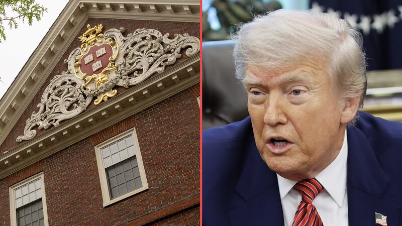 Trump alista cancelar contratos con Harvard por un valor de 100 mdd