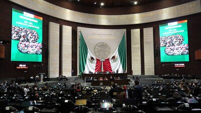 La subcomisión se integrará por diputados de las comisiones de Gobernación y de Justicia.