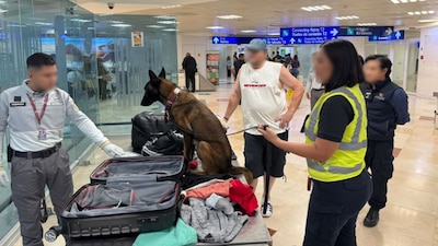 Hallan cerca de 10 kilos de presunta cocaína en maleta en el aeropuerto de Cancún