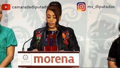 Dijo que en los libros conllevan un interés político con abusos exagerados