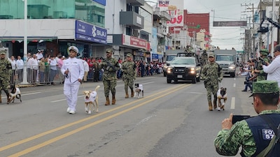 Ambos canes recibieron adiestramiento militar para acciones de rescate.