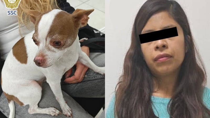 Detienen a mujer por secuestrar a una perrita en Iztapalapa; había cobrado un rescate en oro