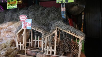 La Norma Oficial Mexicana NOM-011-Recnat-1996 protege al heno y musgo