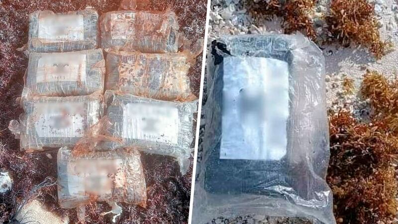 En Cozumel 'recalan' ladrillos con drogas; se acomodan entre la arena y sargazo