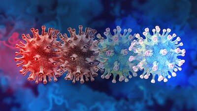 Los niveles de anticuerpos en personas infectadas por el virus se mantienen más de un año después del contagio