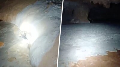 En los cenotes en los que pasa el tramo 5 del Tren Maya