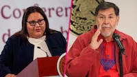 Tras dichos contra Grecia Quiroz, Citlalli Hernández pide a Noroña debatir con sensibilidad