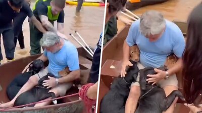 El hombre puso a salvo a sus cuatro "hijos", como él los nombró