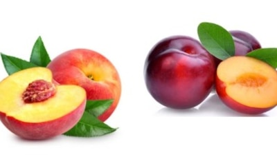 De acuerdo con la Cofepris, las frutas tienen una bacteria que causa listeriosis