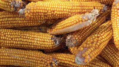 Senadores estadounidenses quieren que la USTR emita medidas en abril, luego de las consultas técnicas con México