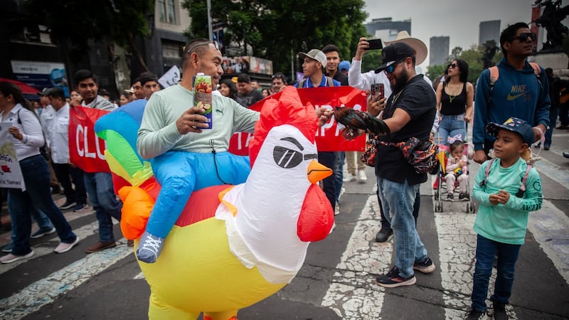 Realizan megamarcha en defensa de las corridas de toros y peleas de gallos en CDMX