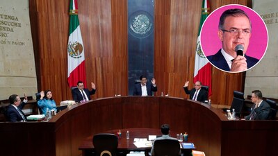 El Tribunal también urgió a Morena a resolver el tema en el tiempo legal