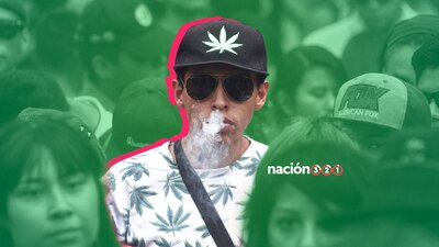 El Senado alista una Ley para el consumo medicinal y lúdico de la cannabis
